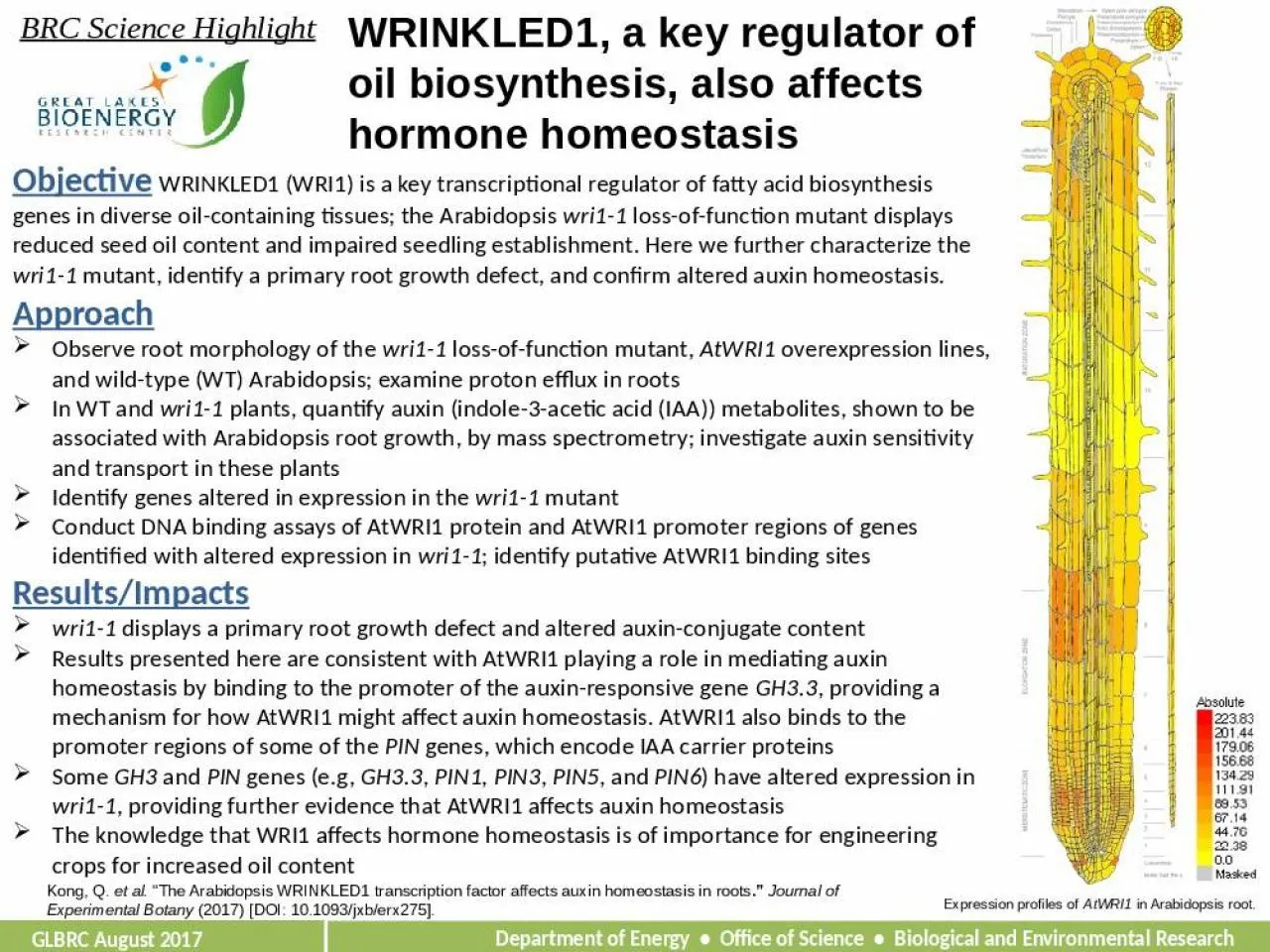 PPT-WRINKLED1, a key regulator of oil biosynthesis, also affects hormone homeostasis