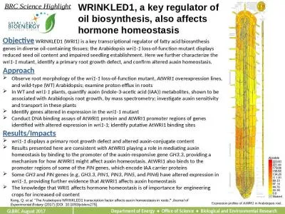 WRINKLED1, a key regulator of oil biosynthesis, also affects hormone homeostasis