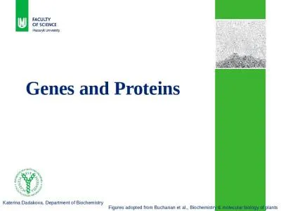 1 1 Genes  and  Proteins