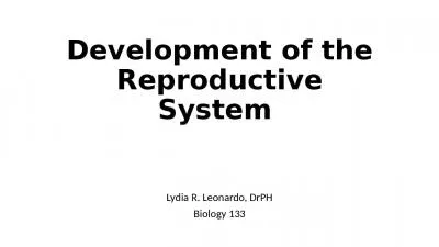 Development of the Reproductive System