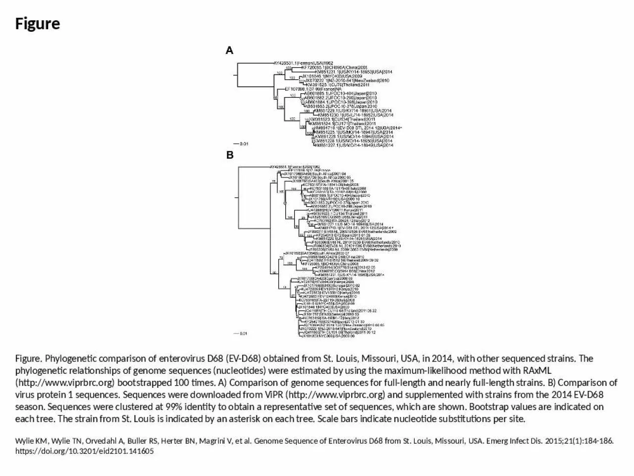 PPT-Figure Figure. Phylogenetic comparison of enterovirus D68 (EV-D68) obtained from St. Louis,