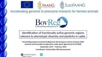 Identification of functionally active genomic regions relevant to phenotypic diversity