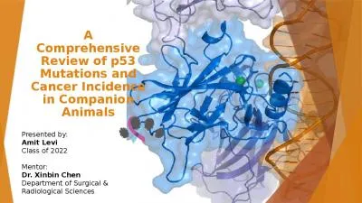 A Comprehensive Review of p53 Mutations and Cancer Incidence in Companion Animals