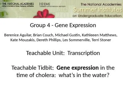 Group 4 - Gene Expression