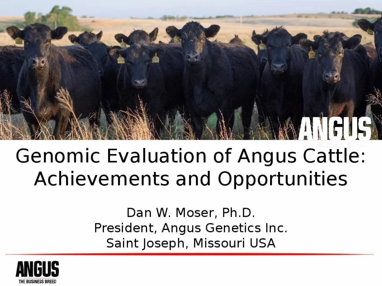 PPT-Genomic Evaluation of Angus Cattle: Achievements and Opportunities