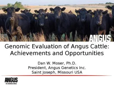 Genomic Evaluation of Angus Cattle: Achievements and Opportunities