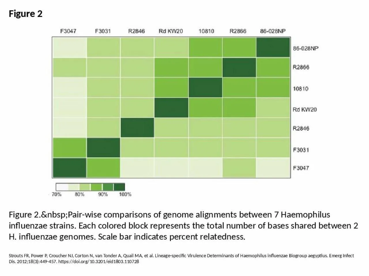 PPT-Figure 2 Figure 2.&nbsp;Pair-wise comparisons of genome alignments between 7 Haemophilus