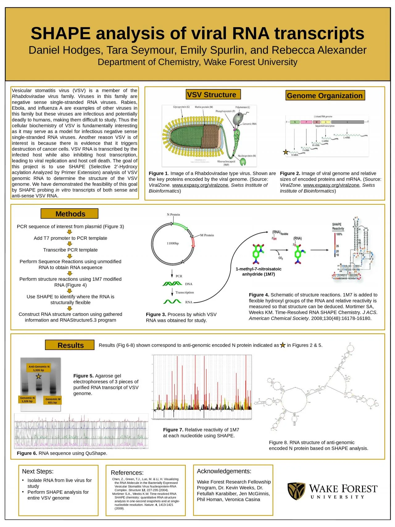 PPT-SHAPE analysis of viral RNA transcripts