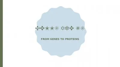 CELLS ARE US FROM GENES TO PROTEINS
