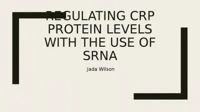 Regulating CRP protein levels with the use of sRNA