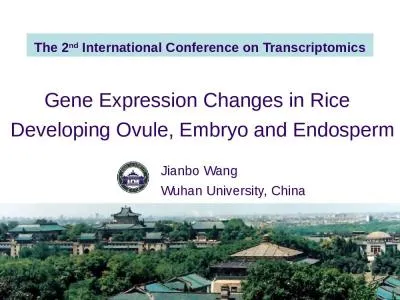 Gene Expression Changes in Rice