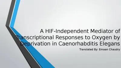 A HIF-Independent Mediator of Transcriptional Responses to Oxygen by Deprivation in Caenorhabditis