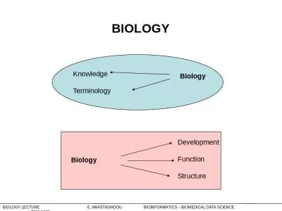 Knowledge Terminology Development