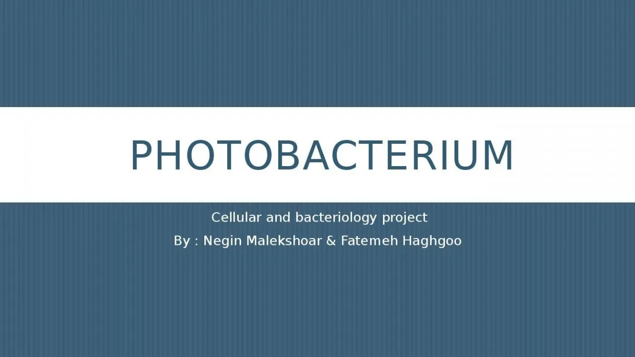 PPT-Photobacterium Cellular and bacteriology project