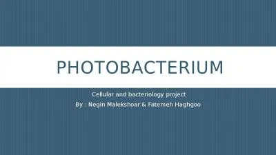 Photobacterium   Cellular and bacteriology project