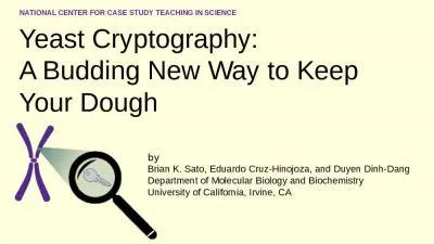 Yeast Cryptography: A Budding New Way to Keep Your Dough