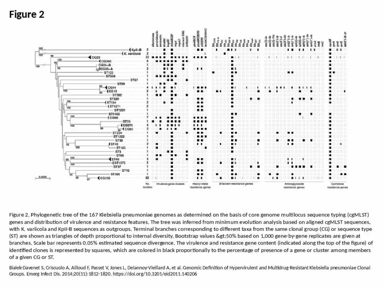 PPT-Figure 2 Figure 2. Phylogenetic tree of the 167 Klebsiella pneumoniae genomes as determined