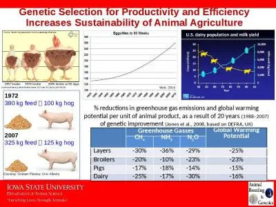 Genetic Selection  for Productivity and Efficiency