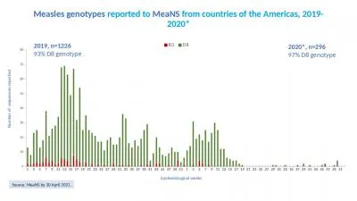 Measles genotypes  reported to