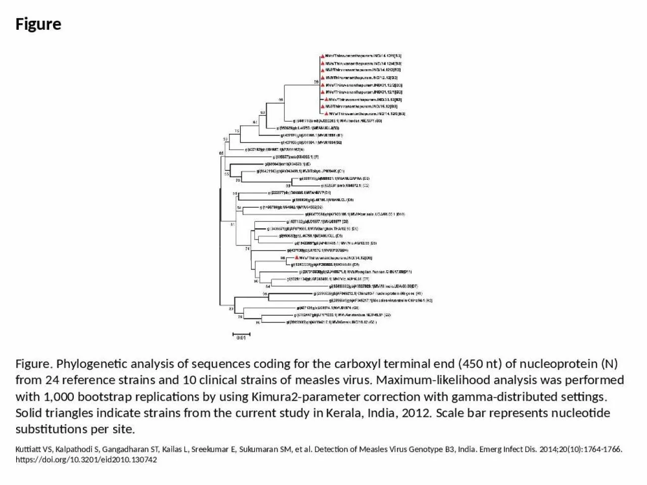 PPT-Figure Figure. Phylogenetic analysis of sequences coding for the carboxyl terminal end