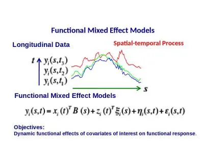 Functional Mixed Effect Models