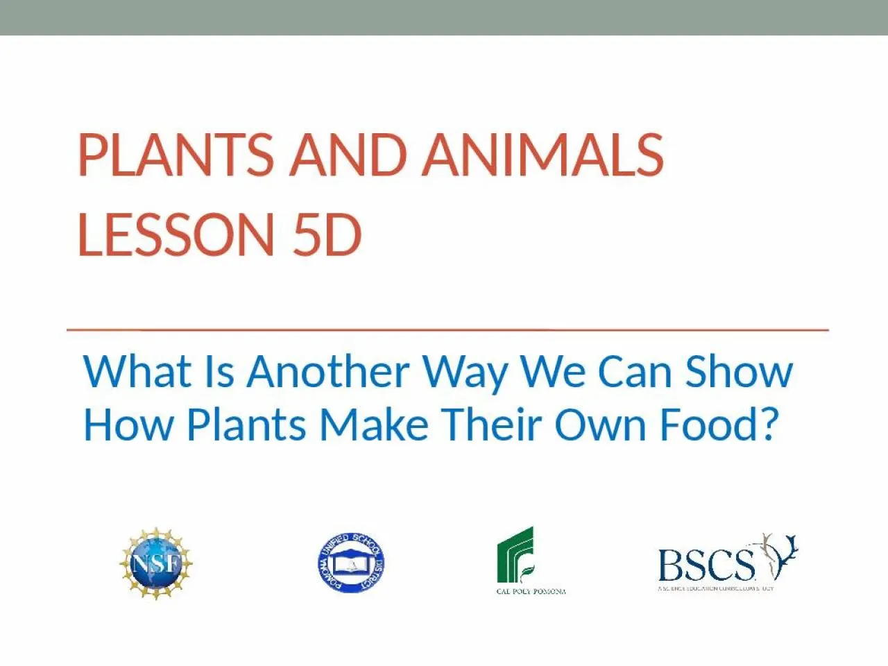 PPT-Plants and Animals Lesson