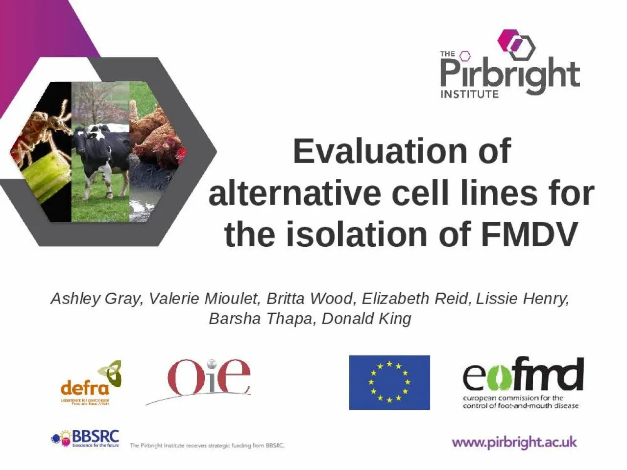 PPT-Evaluation of alternative cell lines for the isolation of FMDV