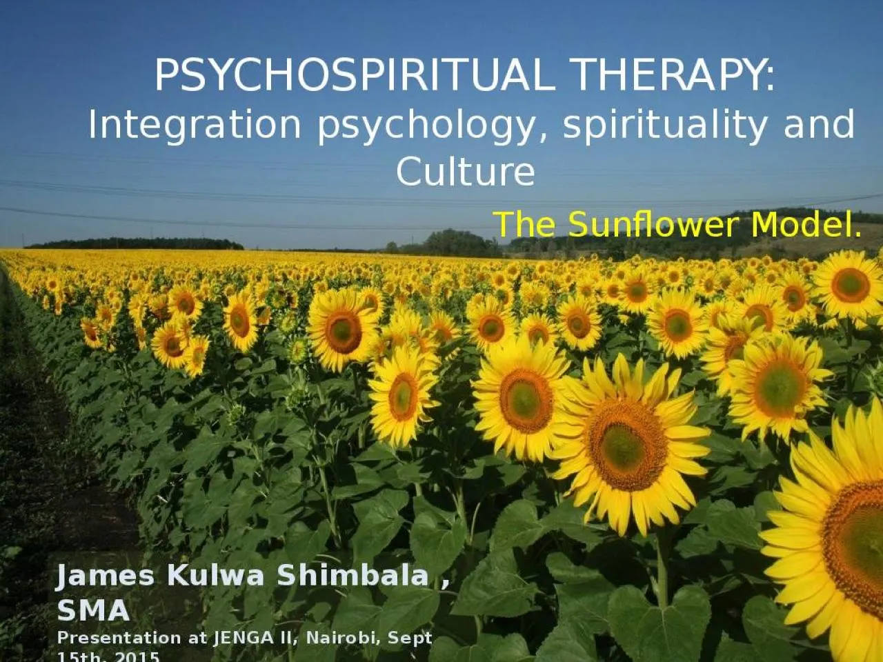 PPT-PSYCHOSPIRITUAL THERAPY: