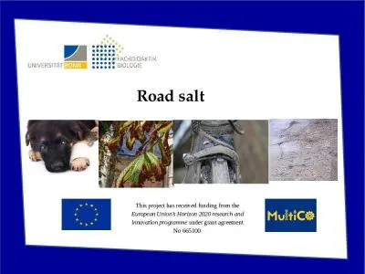 Road salt  This project has received funding from the