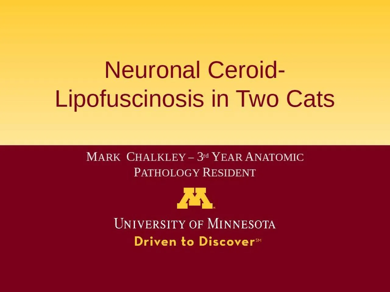 PPT-Neuronal Ceroid- Lipofuscinosis in Two Cats