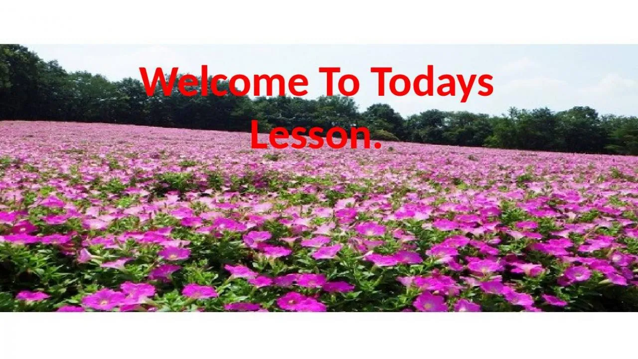 PPT-Welcome To Todays Lesson.