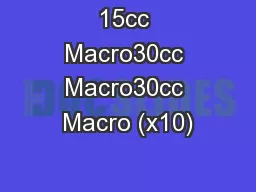 15cc Macro30cc Macro30cc Macro (x10)