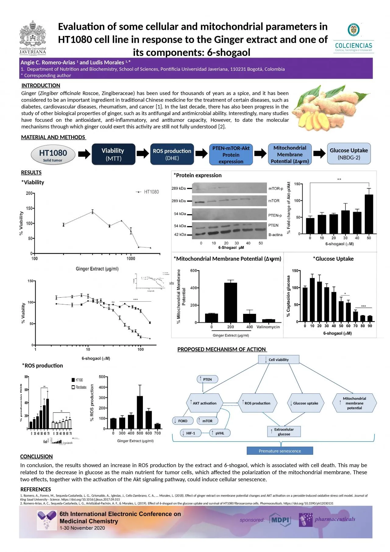 PPT-Evaluation of some cellular and mitochondrial parameters in HT1080 cell line in response