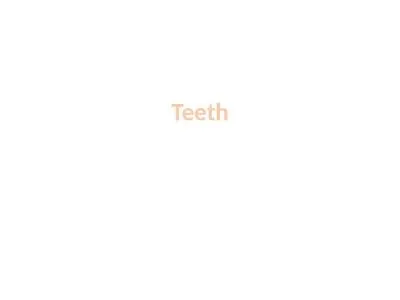 Teeth introduction In the adult human there are normally 32 permanent