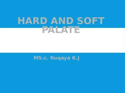 hard  and soft  palate