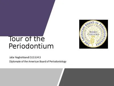 Tour of the Periodontium