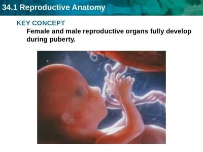 KEY CONCEPT  Female and male reproductive organs fully develop during puberty.