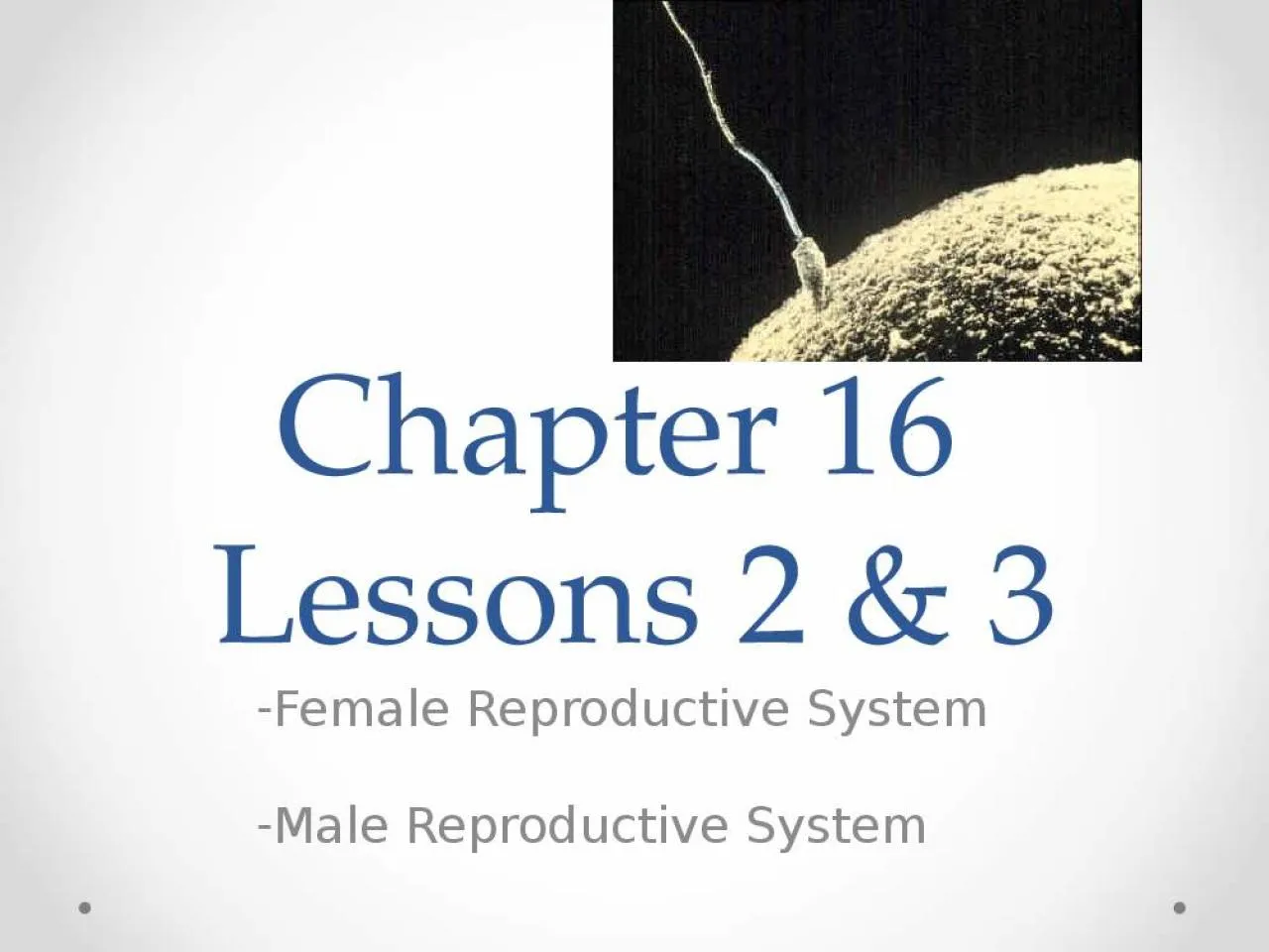 PPT-Chapter 16 Lessons 2 & 3