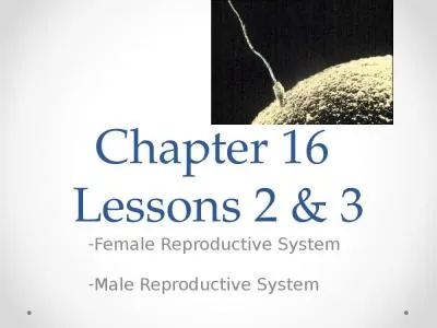 Chapter 16  Lessons 2 & 3