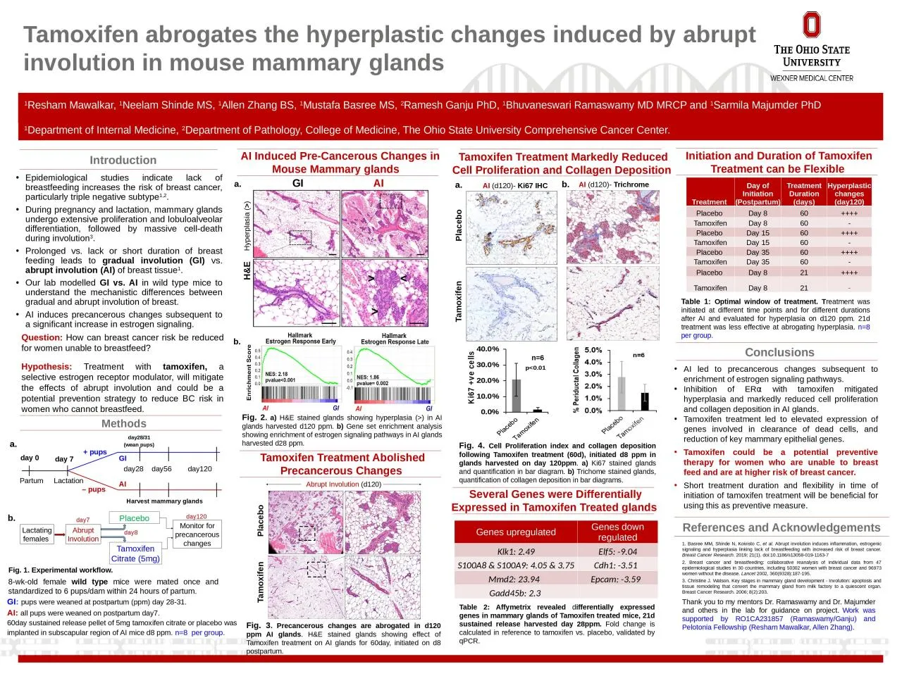 PPT-Introduction AI Induced Pre-Cancerous Changes in Mouse Mammary glands