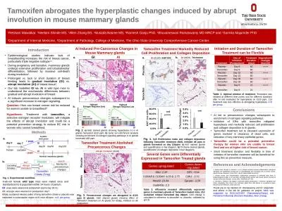 Introduction   AI Induced Pre-Cancerous Changes in Mouse Mammary glands