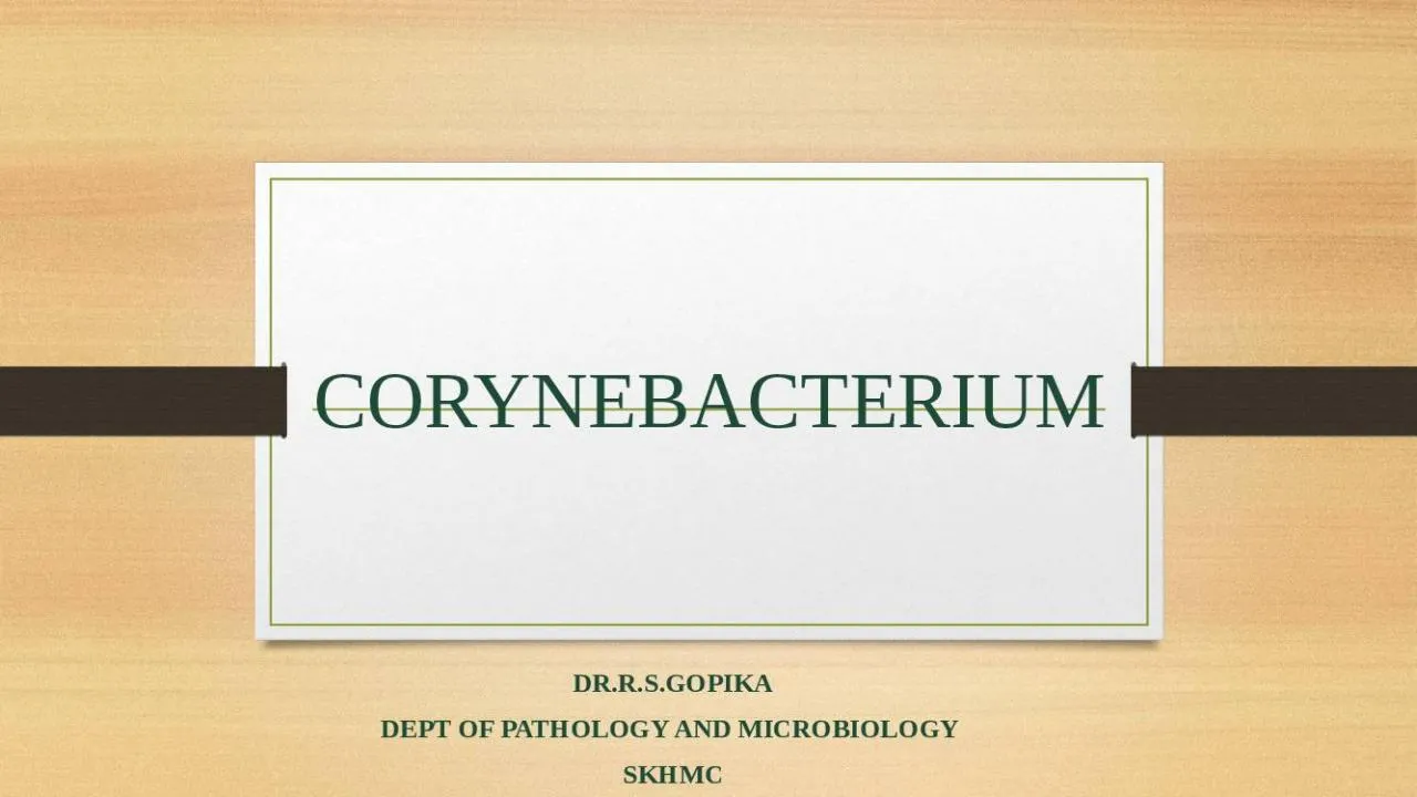 PPT-CORYNEBACTERIUM DR.R.S.GOPIKA