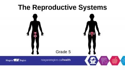 The Reproductive Systems