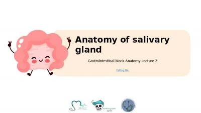 Anatomy of salivary gland