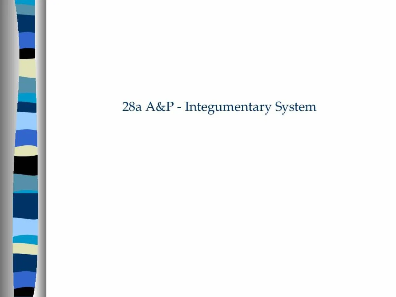 PPT-28a A&P - Integumentary System