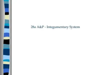 28a A&P - Integumentary System