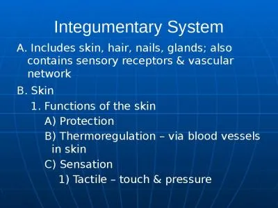 Integumentary System A. Includes skin, hair, nails, glands; also contains sensory receptors