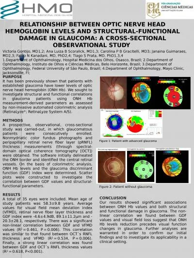 RELATIONSHIP BETWEEN OPTIC NERVE HEAD HEMOGLOBIN LEVELS AND STRUCTURAL-FUNCTIONAL DAMAGE IN GLAUCOM