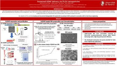 Protein  mixture Sustained GDNF delivery via PLGA nanoparticles