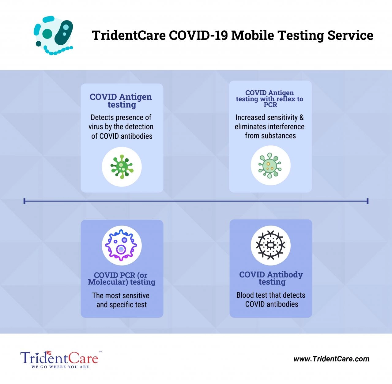 PDF-TridentCare Services